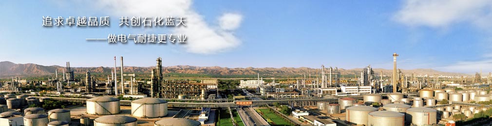 追求卓越品质  共创石化蓝天