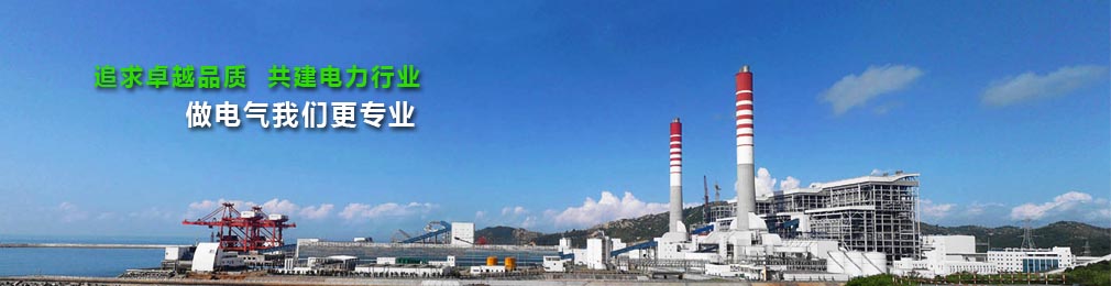 追求卓越品质  共建电厂行业